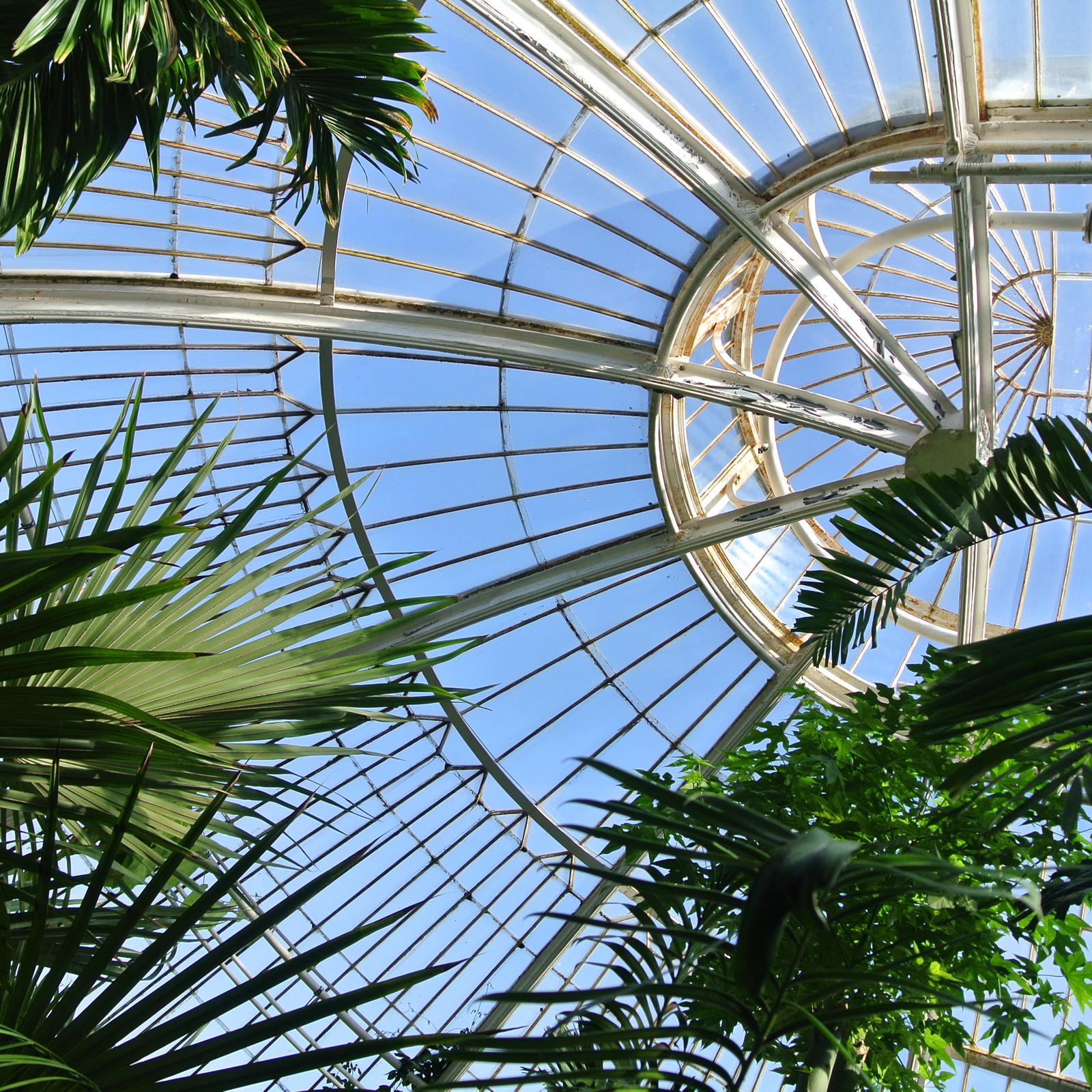 shutterstock_675241009